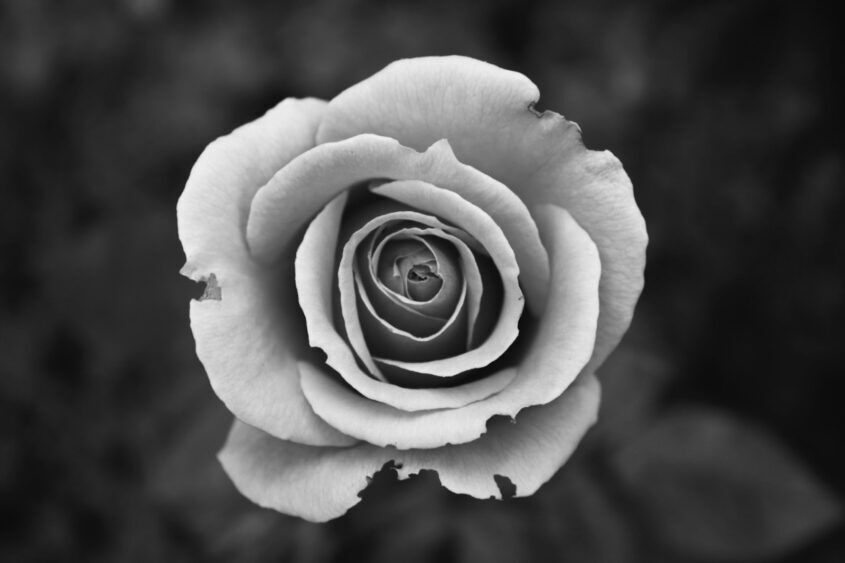 Dealing with Relational Turbulence: Aviate, Navigate, Communicate